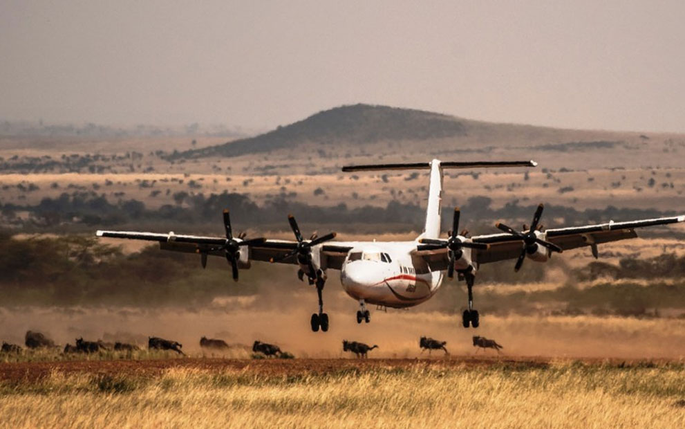 6 Days, 5 Nights Amboseli & Masai Mara Flying Safari