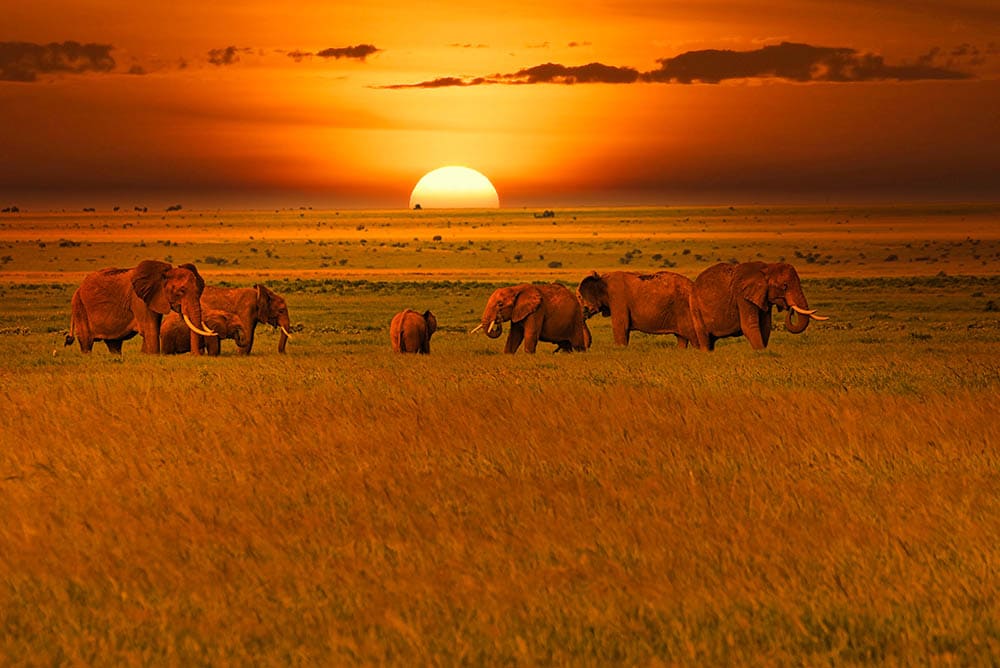4-Day Tsavo East, Amboseli & Tsavo West Safari