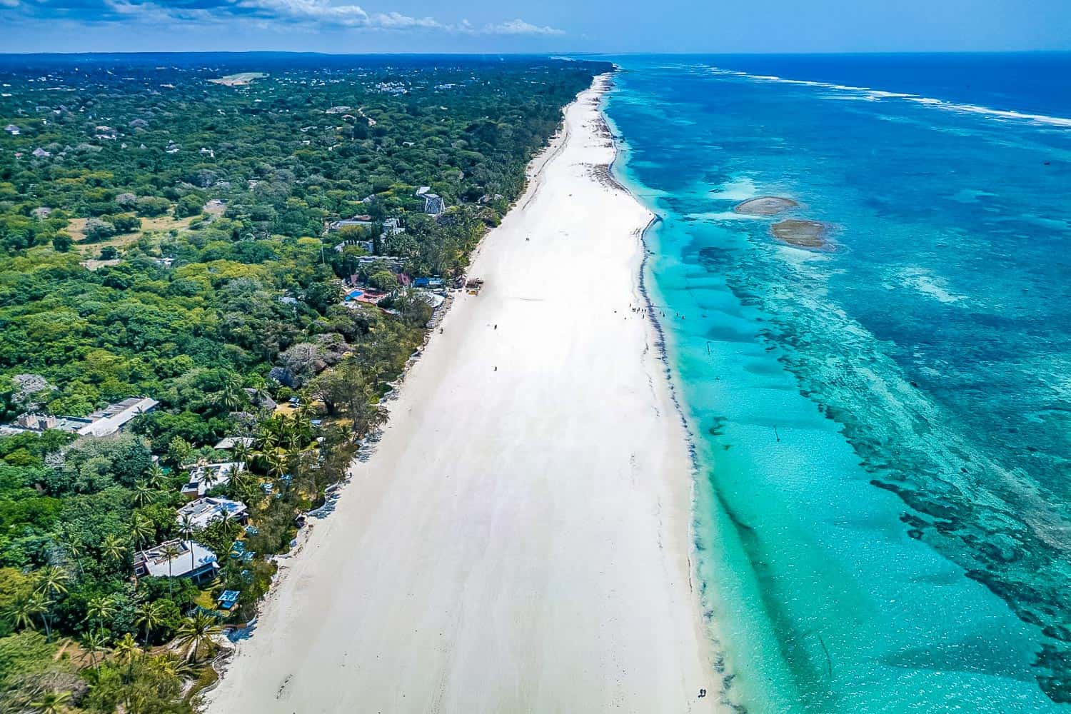 Bush & Beach Safaris